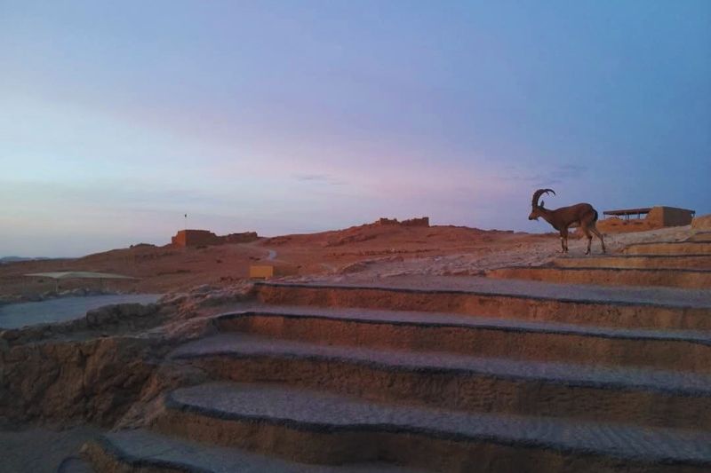 NESSUNA LEGGE È PER SEMPRE