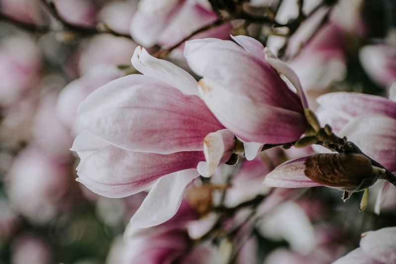 NIENTE DI PERSONALE, TUTTO DI COLLETTIVO